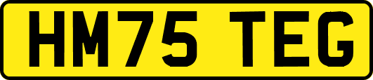 HM75TEG