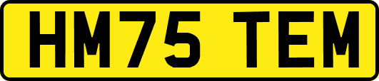 HM75TEM