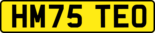 HM75TEO