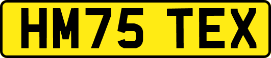 HM75TEX
