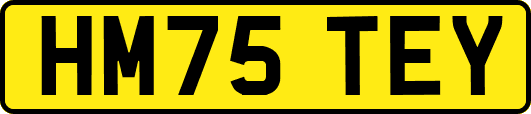 HM75TEY
