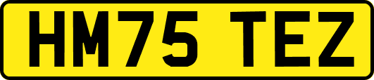 HM75TEZ