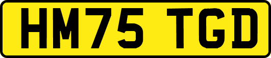 HM75TGD