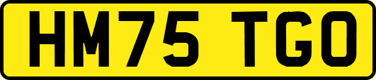HM75TGO