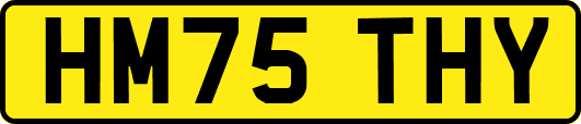 HM75THY