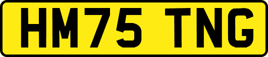 HM75TNG