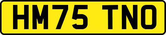 HM75TNO