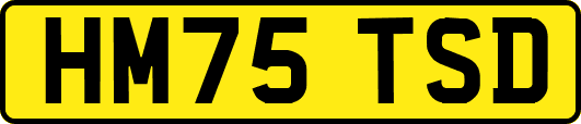 HM75TSD