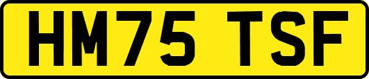 HM75TSF