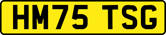 HM75TSG