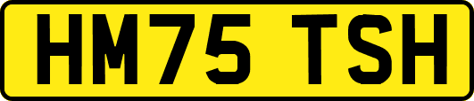 HM75TSH