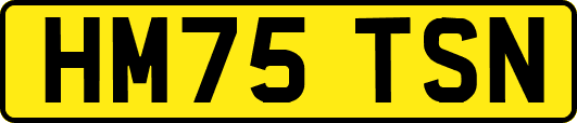 HM75TSN