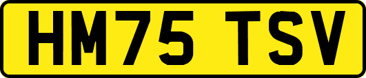 HM75TSV
