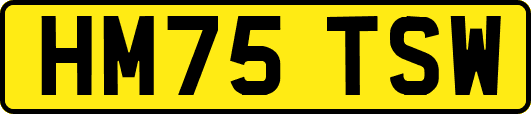 HM75TSW