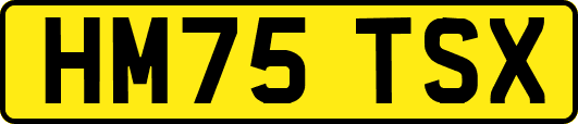 HM75TSX