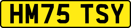 HM75TSY