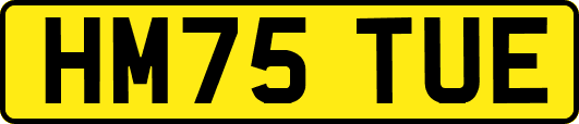 HM75TUE