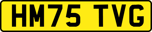 HM75TVG