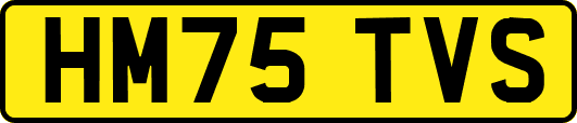 HM75TVS