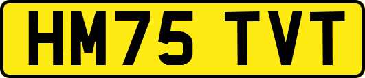 HM75TVT