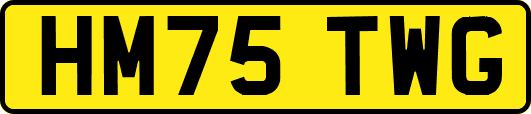 HM75TWG