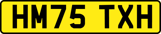 HM75TXH