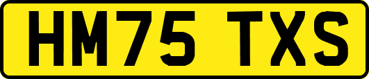 HM75TXS