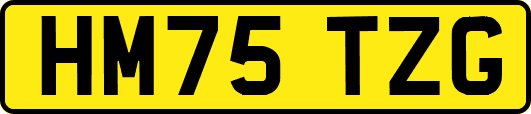 HM75TZG