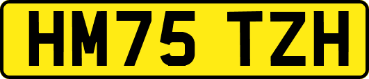 HM75TZH