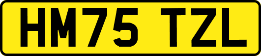 HM75TZL