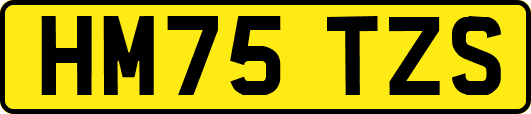 HM75TZS
