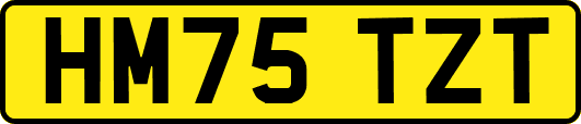 HM75TZT