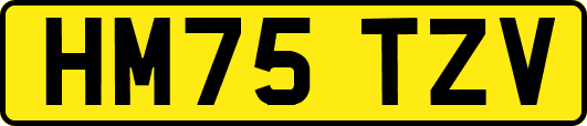 HM75TZV