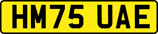 HM75UAE