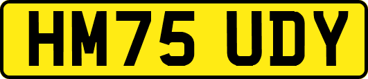 HM75UDY