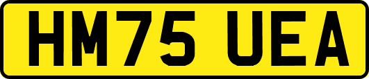 HM75UEA
