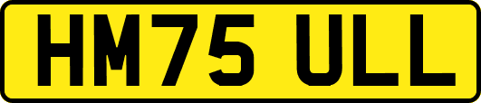HM75ULL