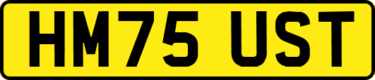 HM75UST