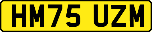 HM75UZM