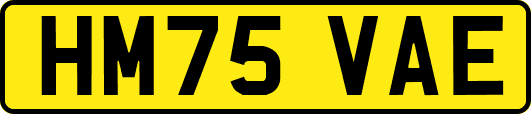 HM75VAE