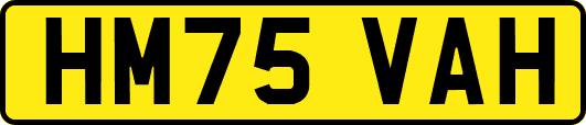 HM75VAH