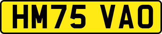 HM75VAO