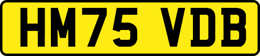 HM75VDB