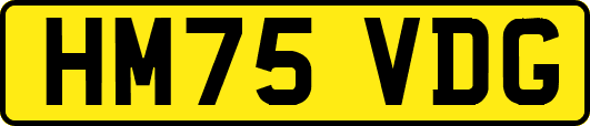 HM75VDG