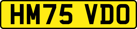 HM75VDO