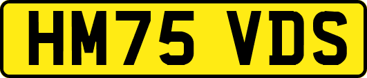 HM75VDS