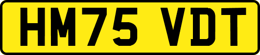 HM75VDT
