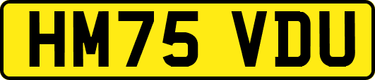 HM75VDU