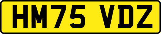 HM75VDZ