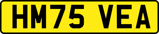 HM75VEA